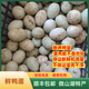 【順豐包郵】 微山湖散養新鮮鴨蛋 現撿現發(fā) 自然散養 土鴨蛋 50-59g初產(chǎn)鴨蛋 50枚