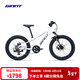 捷安特（GIANT）XTC 20-D鋁合金20寸7速機械碟剎變速青少年自行車(chē) 白月光 20×10 建議115-135cm