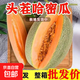 海南哈密瓜新鮮10斤正宗沙地西州蜜25號網(wǎng)紋蜜瓜一箱當季水果 9-10斤2-4個(gè)瓜凈重8-9斤
