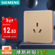 西門(mén)子（SIEMENS）開(kāi)關(guān)插座 16A三孔插座 空調熱水器適用 致典日曜金5UB14433NC03