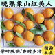 象山黃紅美人柑橘當季多汁新鮮果凍橙年貨節高端水果禮盒京東快遞 10斤禮箱C6~28個(gè) 現摘京東速發(fā)