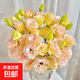 無(wú)刺玫瑰洋桔梗鮮切花插花捧花家庭水養云南昆明直發(fā)20-30個(gè)花苞 香檳色