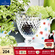 德國唯寶（Villeroy&Boch）波士頓系列 創(chuàng  )意水杯炫彩多巴胺家用飲料果汁杯進(jìn)口水晶玻璃杯 高腳水杯 透明色350ml