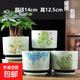 花盆陶瓷特價(jià)清倉帶托盤(pán)家用室內外綠蘿吊蘭創(chuàng  )意多肉小花盆桌面 四個(gè)手繪春暖花開(kāi)帶托盤(pán) 無(wú)規格