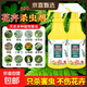 殺蟲(chóng)劑花卉植物通用綠植除蟲(chóng)劑多肉月季花家用蚧殼蟲(chóng)紅蜘蛛殺蟲(chóng)藥 【只除蟲(chóng) 不傷花】500ml*3瓶