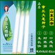 三育系列山東正宗章丘大蔥種子 鐵桿大梧桐蔥種籽 蔥白長(cháng)四季水果種孑脆甜 10克鐵桿大梧桐原裝袋約4000粒