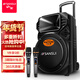 山水（SANSUI）A12-66 12吋廣場(chǎng)舞音響 戶(hù)外音響卡拉ok重低音藍牙音響 便攜式K歌移動(dòng)舞臺拉桿音箱大功率擴音器 旗艦版（12寸重低音+雙麥）