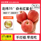 旭崢果蔬陜西白水正宗紅富士蘋(píng)果脆甜當季新鮮水果4.5斤整箱禮盒順豐包郵 凈重4.5斤【中果】10-12枚