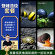 美人霧 觀(guān)賞螺水族活體缸壁除藻螺魚(yú)缸除藻清淤活化床底 登峰造極套餐 強力清潔共8只