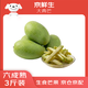 京鮮生 廣西大青芒 3斤裝 單果約750g 約2-3個(gè) 新鮮水果