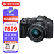 佳能（Canon）EOS R8 微單相機 小型輕量 高畫(huà)質(zhì) 全畫(huà)幅數碼相機 4K視頻專(zhuān)業(yè)微單 EOS R8+24-50mm鏡頭套機
