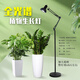 光聯(lián)天下全光譜植物生長燈綠植盆栽花卉補(bǔ)光燈魚缸爆藻射燈E27螺口落地?zé)?30W落地補(bǔ)光燈-全光譜5000K-48°