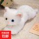 可愛(ài)仿真貓咪玩偶趴趴貓毛絨玩具公仔兒童安撫布娃娃送女生日禮物 白貓 50cm
