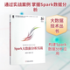 Spark大數據分析實(shí)戰 機械工業(yè)出版社 高彥杰,倪亞宇 著(zhù) 著(zhù)作 大數據技術(shù)叢書(shū) 書(shū)籍