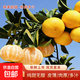 浙江慶元甜桔柚橘柚甜潤肉多新鮮時(shí)令水果 帶箱3斤