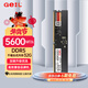 GEIL金邦 16G DDR5-5600  臺式機電腦內存條 千禧系列 低電壓  品牌電腦擴展存儲條