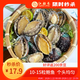 江船長(cháng) 冷凍鮑魚(yú) 凈重160g(10-15粒)袋裝 火鍋食材 海鮮生鮮年貨送禮