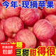 正宗山東紅富士蘋(píng)果冰糖心新鮮當季水果孕婦丑蘋(píng)果香脆爽酸甜 帶箱5斤【80-95mm】 不能保證所有蘋(píng)果都有冰糖心呦