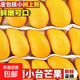 海南三亞小臺農大果當季臺農芒芒果皮薄肉厚純甜無(wú)絲爆汁【活動(dòng)】 單果60g+（帶箱子1斤）