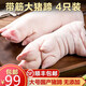 帶筋生豬蹄子新鮮豬腳手農家散養土豬肉純前后豬蹄無(wú)毛 豬蹄6根  5.8斤--6斤