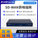 PePLink SD-WAN異地組網(wǎng)遠程桌面 遠程辦公 異地監控  文件共享 分支互聯(lián) 路由器 ES1201