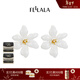 翡拉拉Fellala花間集系列耳環(huán)優(yōu)雅氣質(zhì)白玉蘭花朵耳釘簡(jiǎn)約時(shí)尚耳飾女 白色 一對