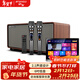 山水（SANSUI） H3 家庭ktv K歌音響套裝 電視音響唱歌神器 點(diǎn)歌機 家用K歌音響無(wú)線(xiàn)雙麥克風(fēng) 一體機K歌豪華版+點(diǎn)歌機
