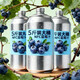 優(yōu)典巧100%nfc純藍莓汁果汁整箱大瓶裝純天然飲料大全0糖0卡0脂肪批發(fā) 兩瓶裝【5斤】【NFC藍莓汁榜單第一】