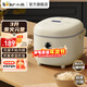 小熊（Bear）電飯煲 智能預約電飯鍋家用3-4個(gè)人 多功能全自動(dòng)大容量煮飯鍋湯粥煲 米飯鍋 壓力 DFB-B30R1 3L