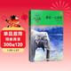 最后一頭戰象 新版 沈石溪動(dòng)物小說(shuō) 兒童文學(xué)課外書(shū) 小升初銜接