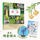 【贈書(shū)簽和貼紙】大自然的小觀(guān)察家野花 7～16歲王辰 吳昌宇 少兒科普再現中國植物的靈動(dòng)豐姿二十一世紀出版社
