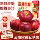 京地達云南昭通丑蘋(píng)果 凈重9斤單果75mm蘋(píng)果水果新鮮紅富士源頭直發(fā)包郵