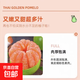 柚子樹(shù)苗嫁接泰國暹羅紅柚苗當年結果南北方種植盆栽地栽水果樹(shù)苗 泰國翡翠金柚 4年結果苗