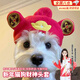 曇蓓漫寵物財神帽子頭飾小型犬頭套貓咪喜慶搞怪新年可愛(ài)財神變裝帽 新年貓狗財神頭套（紅色） 均碼【貓狗通用】