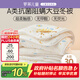 羅萊兒童被子 嬰幼兒A類(lèi)抗菌大豆保暖冬被芯 幼兒園被子120*150