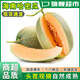 旭霽正宗海南哈密瓜【多地次日達】冰淇淋蜜瓜熱帶現摘新鮮水果生鮮 8.5-9斤[嚴選裝]精選果，甜蜜如初戀