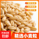 精選小麥粒 煮粥磨面發(fā)芽自種帶皮粗糧雜糧搭配大米伴侶 小麥粒1000g