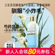 三生花情人節禮物屈臣氏三生花花釀香氛洗發(fā)露洗發(fā)膏洗發(fā)水柔順新舊混發(fā) 清柔順滑 420ml*1瓶