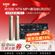 RODE 羅德NT5-MP 小震膜ASMR立體聲麥克風(fēng)電容樂(lè )器話(huà)筒吉他小提琴直播 NT5-MP+雅馬哈UR22C