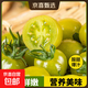 【東東買(mǎi)菜】青甜2號圣女果綠色西紅柿可生食小番茄直播間 青甜千禧圣女果 2斤 含箱 好吃不貴-不甜包退