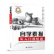自學(xué)素描從入門到精通