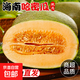 海南沙地哈密瓜新鮮水果西州蜜曉蜜25號甜瓜網(wǎng)紋整箱【活動(dòng)鏈接】 帶箱9-10斤【約3-4個(gè)】