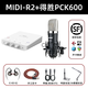 MIDIPLUS R2迷笛外置聲卡電腦手機(jī)通用網(wǎng)紅主播直播唱歌專業(yè)錄音配音套裝 迷笛R2+得勝PCK600+一對一精調(diào)