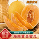 桃西村海南黃金蜜瓜 冰糖香瓜黃皮哈密瓜新伊麗莎白黃金蜜瓜年貨禮盒裝 3斤 黃金蜜瓜【約1-2個(gè)】