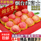山東煙臺蘋(píng)果棲霞紅富士蘋(píng)果脆甜多汁水果生鮮丑蘋(píng)果冰糖心正宗 精品帶箱9-10斤80mm+