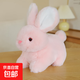 2023兔年吉祥物公仔仿真兔子毛絨玩具小白兔兔布娃娃玩偶年會(huì )禮品 粉紅色 30cm(0.32