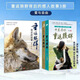重返狼群 全三冊 重返狼群背后的故事+讓我陪你重返狼群+千里尋你重返狼群