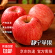 甘肅靜寧紅富士蘋(píng)果當季水果脆甜多汁產(chǎn)地直發(fā)整箱水果蘋(píng)果 帶箱8斤 特大果85-90mm