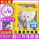 【2026年1/2/3月新】環(huán)球少年地理幼兒版雜志2025年1-12月/全年/半年訂閱/2024/2023全年珍藏 啟蒙故事低年級兒童科普百科自然探秘非過(guò)刊 全年訂閱【送蘑菇種植盒】26年1-12月