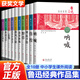 【全10冊】魯迅全集文學(xué)作品集完整版10冊 狂人日記 吶喊 彷徨 朝花夕拾 原著(zhù)正版 魯迅小說(shuō)全集 魯迅作品集原著(zhù)正版白話(huà)文小說(shuō) 魯迅作品全集10冊